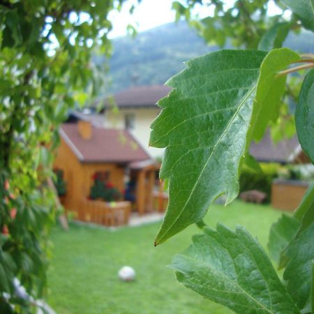 Haus Schnepfleitner Apartment Dorfgastein Luaran gambar