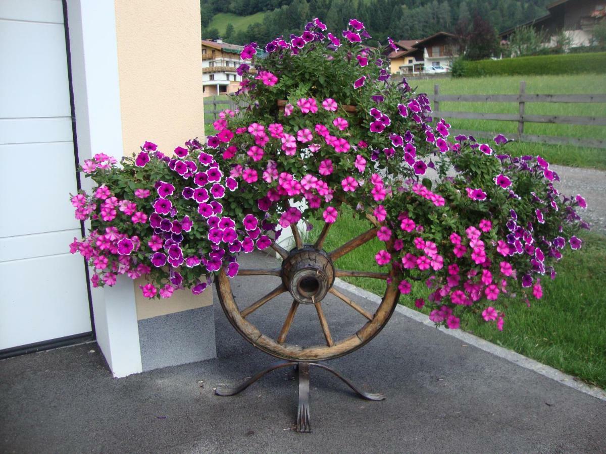 Haus Schnepfleitner Apartment Dorfgastein Luaran gambar
