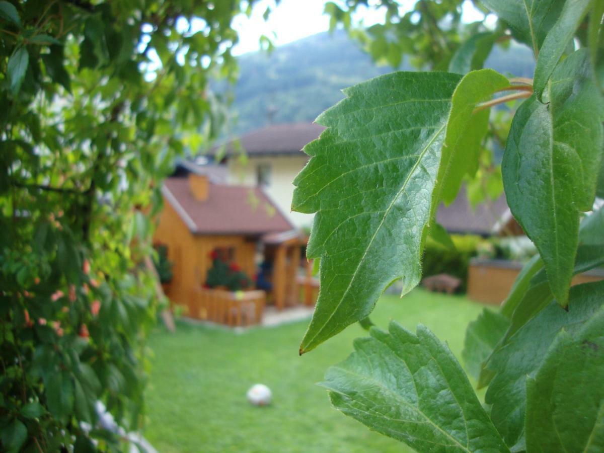 Haus Schnepfleitner Apartment Dorfgastein Luaran gambar